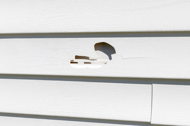Reliable Beaver Dam Lake, NY Junk Removal Solutions
